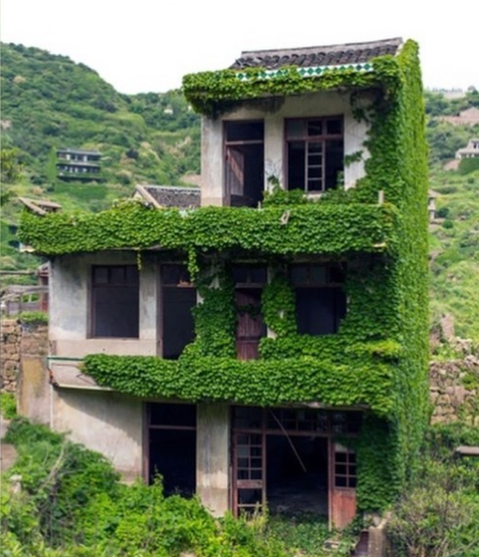 Смотрите, как выглядит заброшенное село-призрак, которое полностью поглотила природа: фото и видео